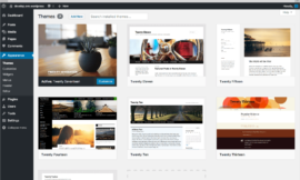 Free and popular wordpress theme